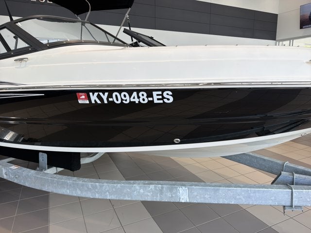 2021 STINGRAY 198LX 198LX